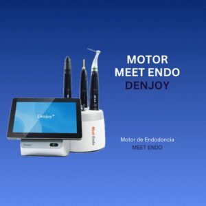 MOTOR MEET ENDO DENJOY